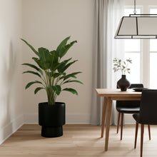 Modern interior with a potted plant and a dining table.