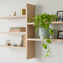 Wooden shelves with books, a plant, and decorative items against a white wall.