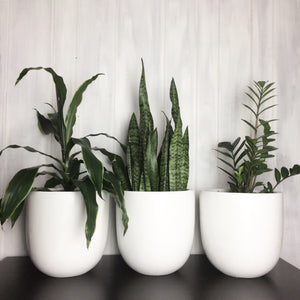 ESSENTIAL POT | PLANTER