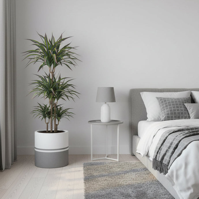 Modern bedroom with a bed, side table, and potted plant.