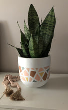 TERRAZZO POT | PLANTER