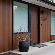 Modern house exterior with wooden facade, glass door, and potted plant.