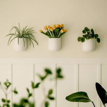 SOLID TALL WALL PLANTER WHITE | POT