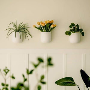 SOLID TALL WALL PLANTER WHITE | POT