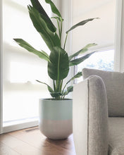 SPLIT POT | PLANTER