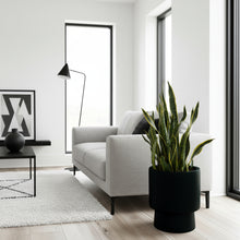 Modern living room with a gray sofa, black plant pot, and abstract art on a white wall.