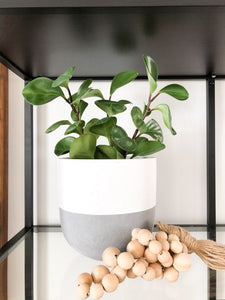 SPLIT POT WHITE | PLANTER