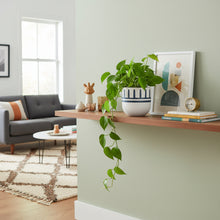 Modern living room with a plant on a wooden shelf, books, and decorative items.