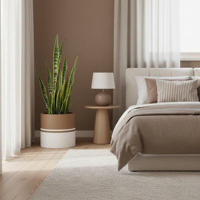 Reflection Cylinder Planter