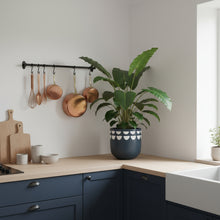 Kurved Pots | Planters