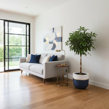 Modern living room with a gray sofa, blue pillows, a plant, and abstract art on the wall.