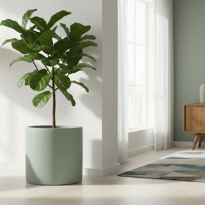 Modern Cylinder Planter