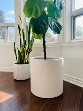 CYLINDER POT WHITE | PLANTER