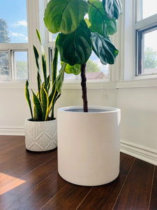 CYLINDER POT WHITE | PLANTER