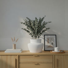 Decorative setup with a white vase, potted plant, books, and a cup on a wooden surface.