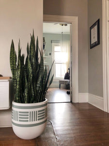 NOMAD POT SAGE | PLANTER