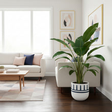 Modern living room with a plant in a pot on a wooden floor.