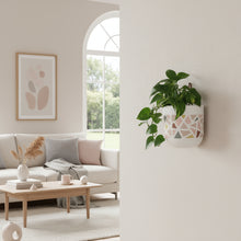 Modern living room with a sofa, coffee table, and wall-mounted plant