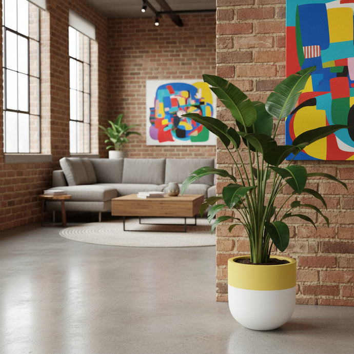 Divided Pot Mustard | Planter