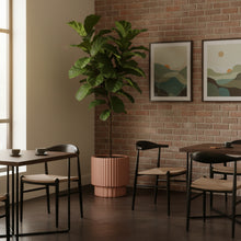 Ridged Cylinder Planter | Terra Clay