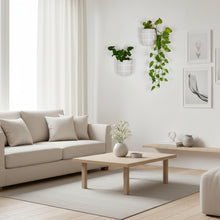 Modern living room with a beige sofa, wooden coffee table, and decorative plants.