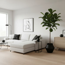 Modern living room with white sofa, plant, and minimal decor