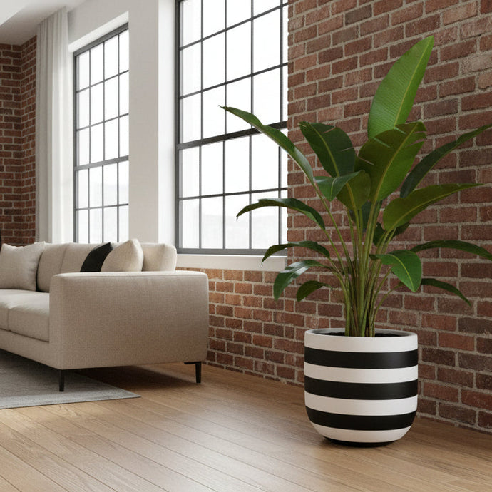 Rugby Pots | Planters