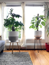 SPLIT POT WHITE | PLANTER