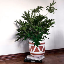 AZTEC POT TERRACOTTA | PLANTER