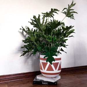 AZTEC POT TERRACOTTA | PLANTER