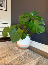 OVERLAY POT BAKED CLAY | PLANTER