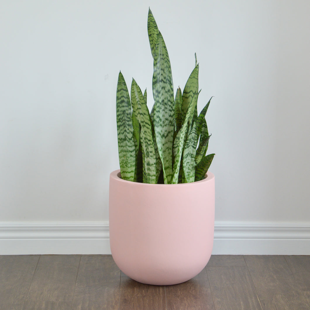 ESSENTIAL POT BLUSH | PLANTER