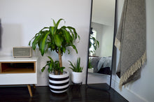 RUGBY POT BLACK | PLANTER