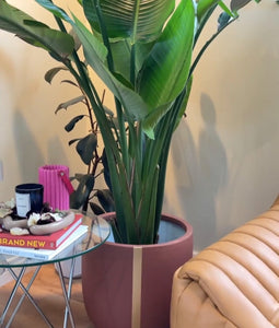 STRAND POT RUST | PLANTER