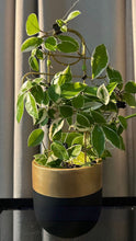 AURUM POT BLACK | PLANTER