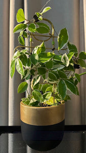 AURUM POT BLACK | PLANTER