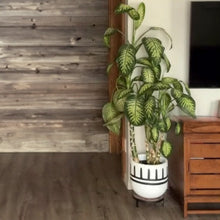 REIGN POT BLACK | PLANTER