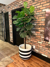 RUGBY POT BLACK | PLANTER