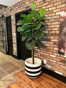 RUGBY POT BLACK | PLANTER