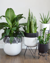 NETTE POT WHITE | PLANTER