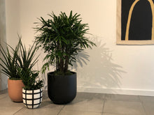 ESSENTIAL POT | PLANTER