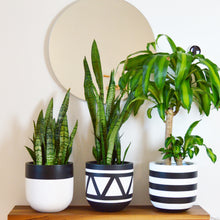 AZTEC POT | PLANTER