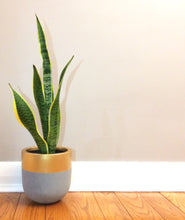 AURUM POT NATURAL | PLANTER