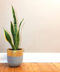 AURUM POT NATURAL | PLANTER