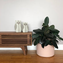LOW CYLINDER POT BAKED CLAY | PLANTER