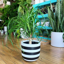 RUGBY POT BLACK | PLANTER