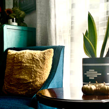 SAHARA CYLINDER POT BLACK | PLANTER
