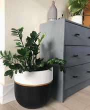 GALA POT | PLANTER