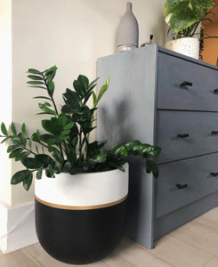GALA POT | PLANTER
