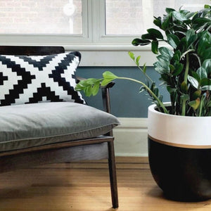 GALA POT | PLANTER